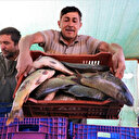 Denizi olmayan Manisa’dan balık ihraç ediyorlar: Yurt dışında alıcı buluyor