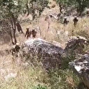 Pençe-Kaplan Operasyonu'nda komandolar 'ara-bul-yok et' parolasıyla terör örgütüne darbe vurmaya devam ediyor