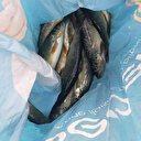 Kırklareli'de dereye elektrik akımı vererek balık avlayan kişiye 10 bin lira ceza