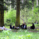 Uzmanlar uyarıyor: Keneye karşı beyaz giyin