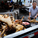 Çin'de köpek eti festivali tepkilere rağmen başladı