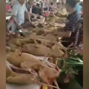 Çin tepkilere rağmen köpek festivalini başlattı: Katliamlar görüntülendi