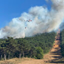 İstanbul'da Kayışdağı’nda ormanlık alanda yangın çıktı