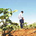 Şanlıurfa’da topraklara nöbetleşe ekim molası