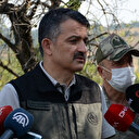Bakan Pakdemirli: Gelibolu Yarımadası'nda dün çıkan orman yangını kontrol altına alındı
