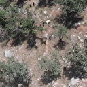 Pençe Kaplan Operasyonunda 3 terörist daha SİHA'larla etkisiz hale getirildi