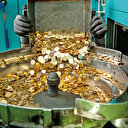 Darphane hizmet ihracatı yapacak: Yeni nesil pasaport üretecek