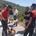 Muğla'da tersane işçilerinin beslediği köpek insana ait kafatası buldu