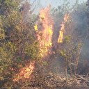 Tekirdağ’daki yangın ormanlık alana sıçradı: Ekipler havadan ve karadan müdahale ediliyor