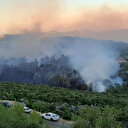 Antalya'da ormanlık alandaki yangın kontrol altına alındı