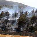 Çanakkale'de orman yangını: Bölgeye çok sayıda ekip gönderildi