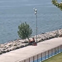 İBB, Florya sahilindeki ağaçları kesti