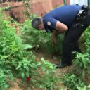 İstanbul'da uyuşturucu operasyonu: 6 gözaltı