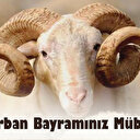 En güzel bayram mesajları