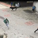Ahırdan kaçan kurbanlık boğa vatandaşları kovaladı