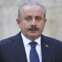 TBMM Bakanı Şentop: Ayasofya'nın açılması tarihimizde en önemli dönüm noktalarından birisi oldu