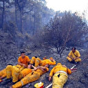Bakan Pakdemirli paylaştı: Dün gece rahat uyudunuz mu?
