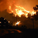 İzmir'in Menderes ilçesindeki orman yangınına neden olan piknikçi tutuklandı