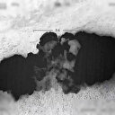 Irak'ın kuzeyinde 3 PKK'lı terörist hava harekatıyla etkisiz hale getirildi