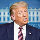 ABD Başkanı Trump: Oy pusulaları 'ölülere, kedilere ve köpeklere' gidiyor