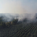 Bursa'nın Mudanya ilçesinde orman yangını çıktı