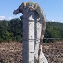 Yoldan geçen vatandaşlar buldu: İstanbul'da iguana paniği