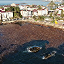 Selin sürüklediği ağaçlar deniz yüzeyini kapladı