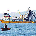 Balıkçılar yeniden Vira bismillah dedi: Bu sene palamut bol olacak