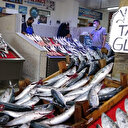 Palamutun fiyatı yüz güldürüyor: İstavrit ve mezgitin fiyatı üzdü