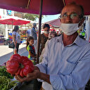 Bir kilodan fazla domates: Çanakkale'de görenleri şaşırtıyor