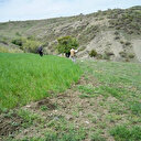 Koronavirüs sonrası vatandaşın gayrimenkul tercihi değişti: Talep 30 kat arttı