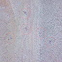 Azerbaycan'ın yerle bir ettiği Ermenistan'a ait mevzilere ait yeni görüntüler