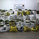 Diyarbakır'da terörün finansı uyuşturucuya büyük darbe vuruldu