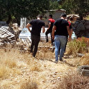 Muğla'da vahşet: Köpeğin bulduğu kafatası kayıp boya ustasının çıktı