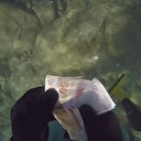 Denizde dalış yaptığı sırada para dolu çanta buldu: Sahibine göndermek için kargoya teslim etti