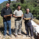 Kovanların içindeki esrarengiz olaylar arıcıları da şaşırttı: Allah yazıp gidiyorlar