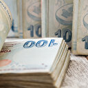 Kırsal kalkınmaya 2021 bütçesinden 6 milyar lira ayrıldı