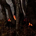 Ermenistan ordusu SİHA korkusundan ormanı yaktı