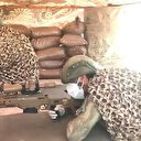 MSB'den keskin nişancı paylaşımı: Onlar; görevini sessizce ve tam 12’den vurarak yapar!