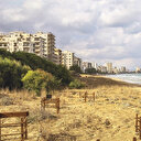 Maraş için 338 Rum
başvurdu