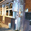 Kedi kesen kadın vatandaşlar tarafından elinde poşetle yakalandı: Evet kestim eve götürüp yiyeceğim yıllardır yiyorum