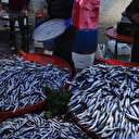 Kilosu 10 TL’ye kadar düşen hamsi fiyatı ile vatandaşın yüzünü güldürdü