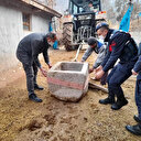 Tarlasında buldu, yalak olarak kullanıyordu, 1200 yıllık tarih eser olduğunu öğrenince internetten satışa çıkardı