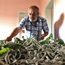 Bakan Pakdemirli müjdeyi verdi: Yüzde 100 hibe verilecek