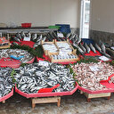 Komşu da bunu yaparsa! Yan dükkandaki esnafın 10 bin liralık balığını çaldılar