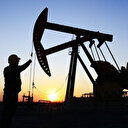 OPEC'in kararı sonrası petrolde 50 dolar tahmini