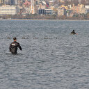 Denizde kovalamaca: Kaçak midye avcıları dalgıç polisler  tarafından yakalandı