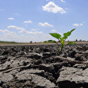 Cuma namazı sonrası bütün camilerde yağmur duası edilecek