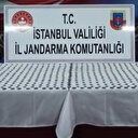 Tarihi sikkeleri arsayla takas etti ama zararlı çıktı