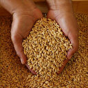 Çok sayıda tahıl ürününde gümrük vergisi sıfırlandı